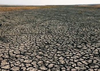 Засуха на юге страны: Люди вынуждены экономить воду