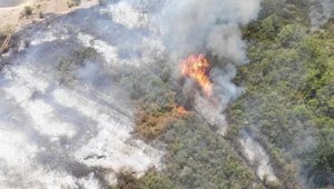 В окрестностях Кагула сгорели 8 га леса: На место выезжают эксперты Минэкологии